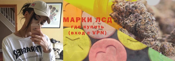 индика Верея