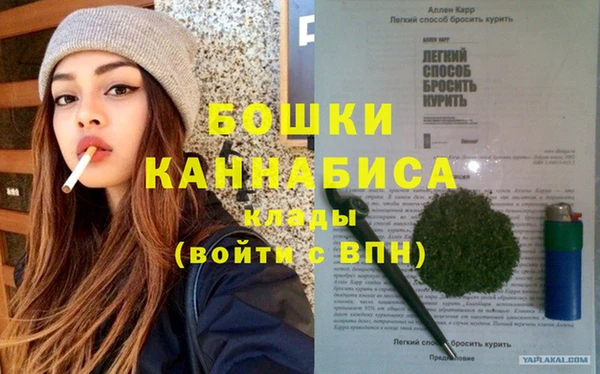 индика Верея