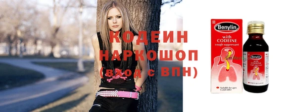 индика Верея