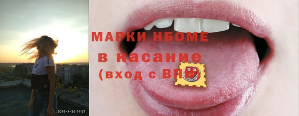 индика Верея
