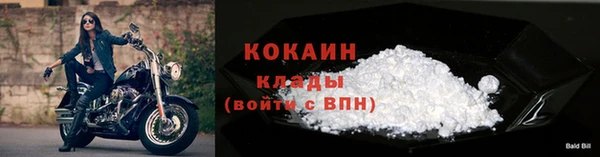 индика Верея