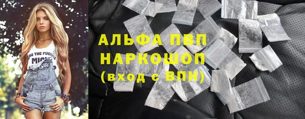 индика Верея