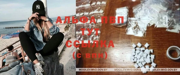 индика Верея