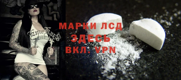 индика Верея