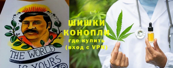 индика Верея