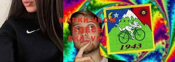 индика Верея