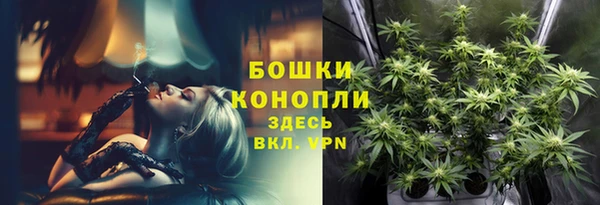 индика Верея