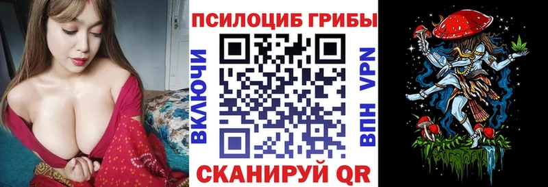 Галлюциногенные грибы Cubensis  Купить закладки  Курчалой 
