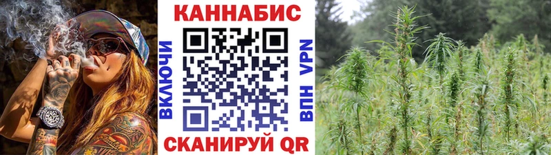 Конопля MAZAR  Купить закладки  Курчалой 